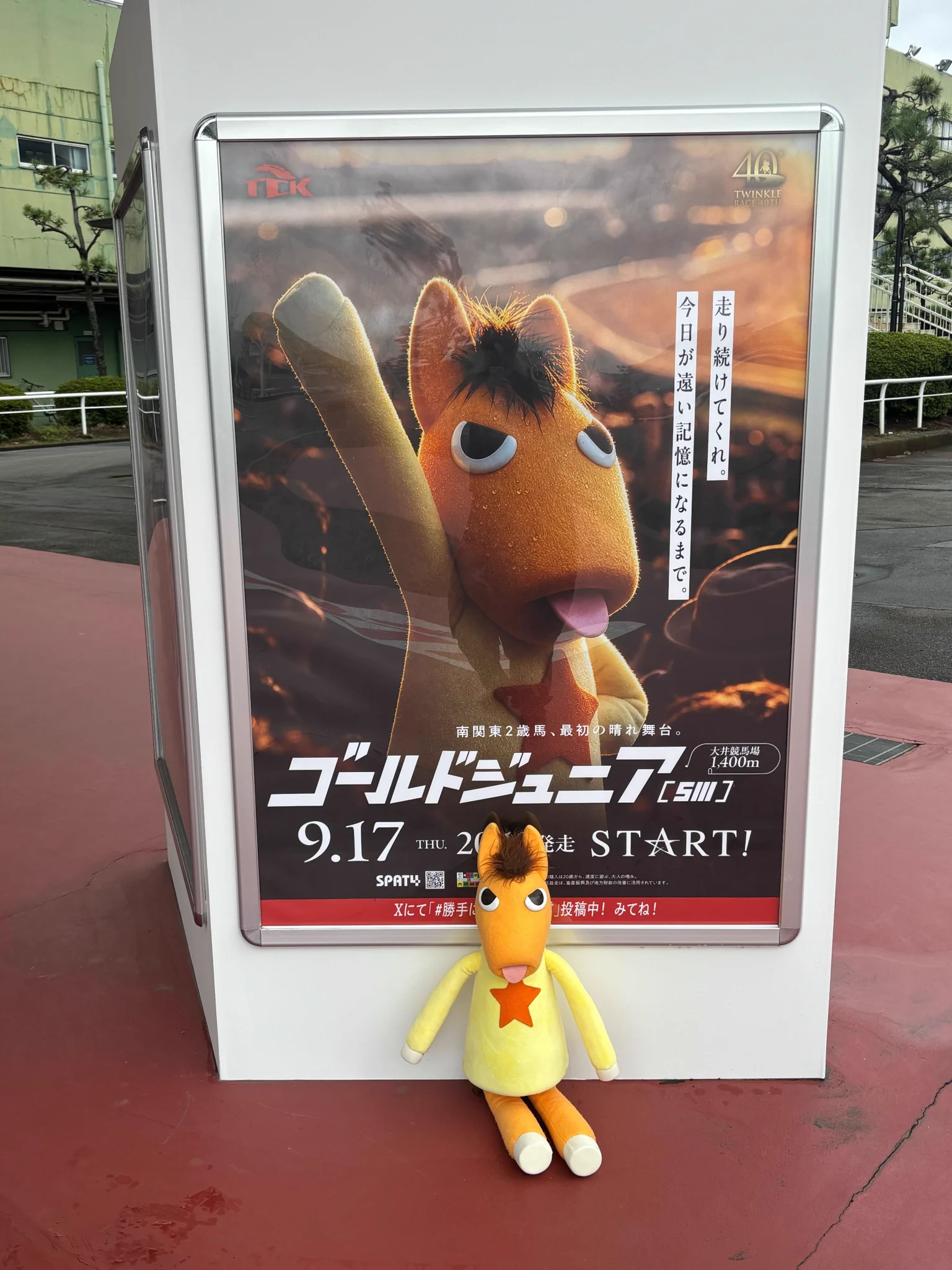 東京シティ競馬 (TCK) on X: 