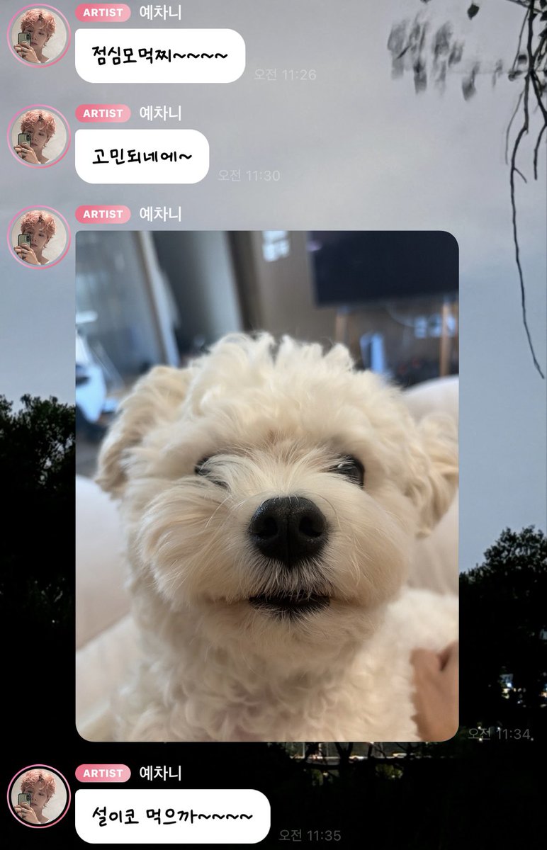 ye___pudding's tweet photo. 🐶 점심모먹찌~~~~
🐶 고민되네에~
🐶 설이코 먹으까~~~~

ㅋㅋㅋㅋㅋㅋㅋㅋㅋㅋㅋㅋㅋㅋㅋㅋㅋㅋㅋㅋㅋㅋㅋㅋㅋㅋㅋㅋㅋㅋㅋㅋㅎㅏ 진짜 귀엽게ㅜ https://t.co/4lGwpfLaRP