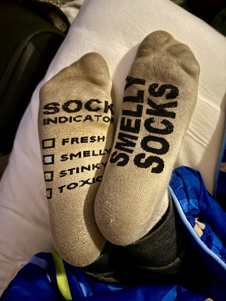 LuckyPawSocks's tweet photo. I just got home and I’m passed out from a long day in bed and all you see is this poking out from the covers. What do you do? https://t.co/LPoiICkkkt