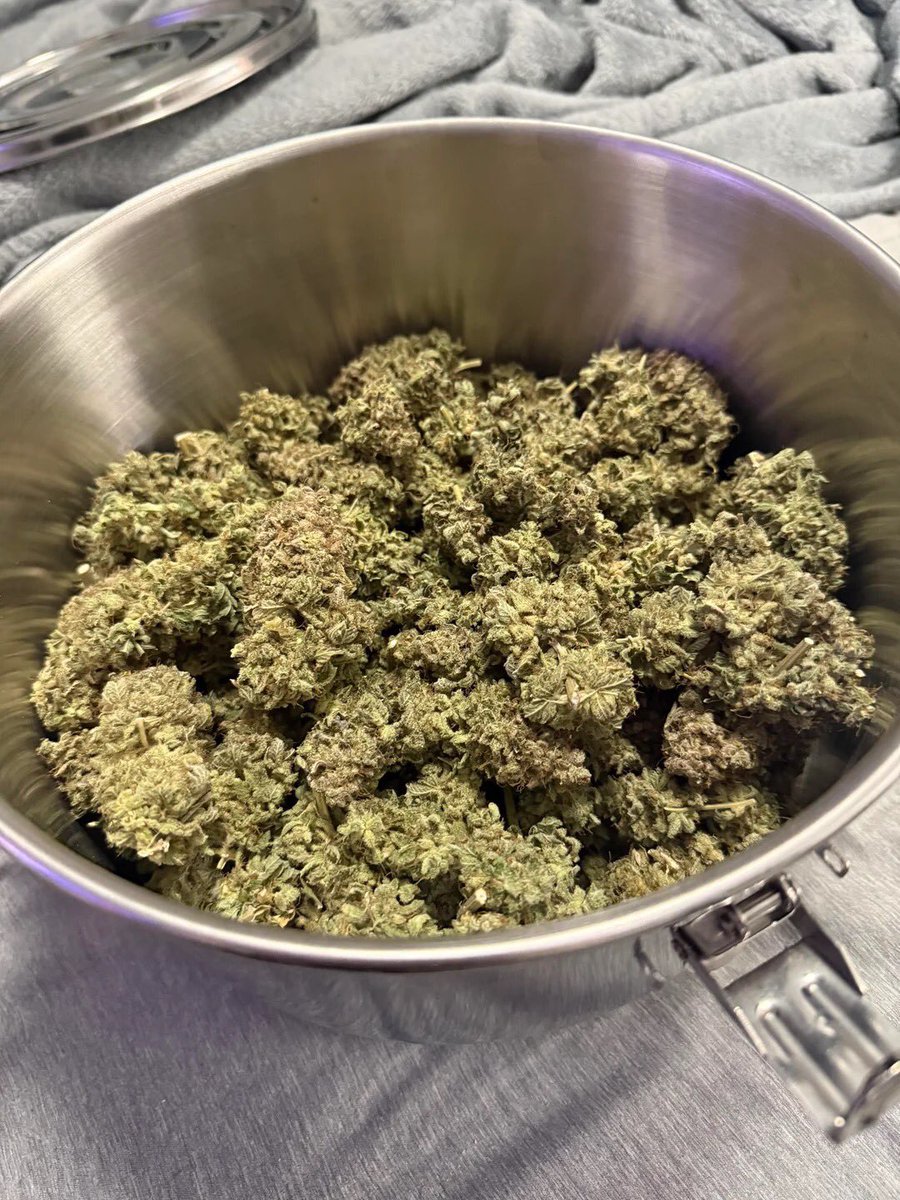 KushGardenf1d4's tweet photo. How long would it last you? https://t.co/nI3HyXpGuf