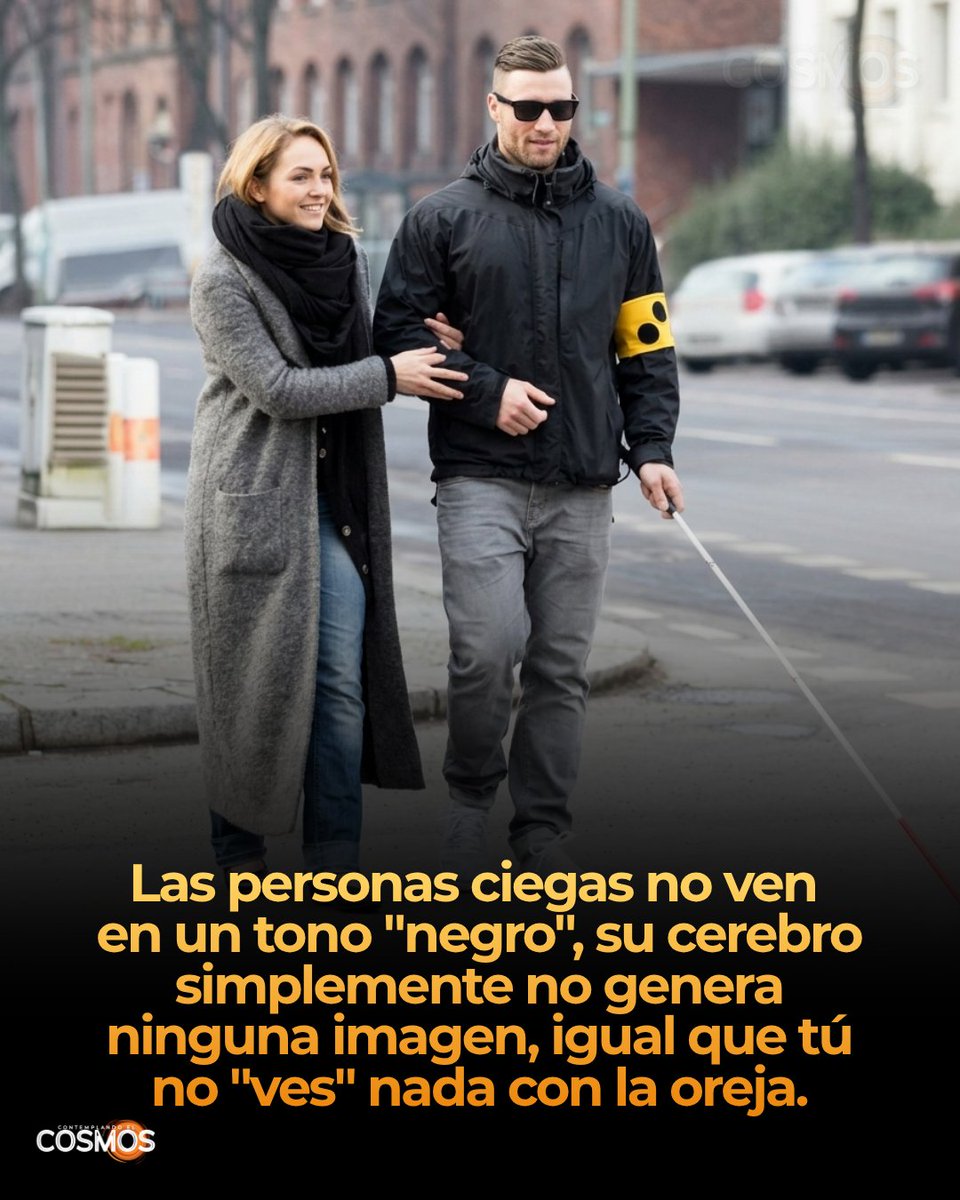 cecosmos_'s tweet photo. La oscuridad es una experiencia visual, no la simple ausencia de luz. Cuando ves "negro" con los ojos cerrados o en un cuarto sin luz, tu cerebro sigue procesando activamente esa falta de estímulo y la representa como un color. Requiere que el sistema visual —ojos, nervio óptico y corteza visual— esté funcionando.

En la ceguera total, esa cadena está interrumpida, así que no llega ninguna señal a la corteza visual. El resultado no es "ver negro", sino la ausencia completa de experiencia visual: es lo mismo que no "ves" nada con el codo o con la espalda, porque esas partes del cuerpo no generan percepción visual.

Hay un matiz según el origen de la ceguera. Si el daño está solo en los ojos pero la corteza visual sigue intacta, algunas personas experimentan destellos o patrones espontáneos (como en el síndrome de Charles Bonnet), porque esa corteza sigue activa. El caso de "nada absoluto" corresponde sobre todo a personas ciegas de nacimiento, cuyo cerebro nunca desarrolló la función de representar algo como "visto".