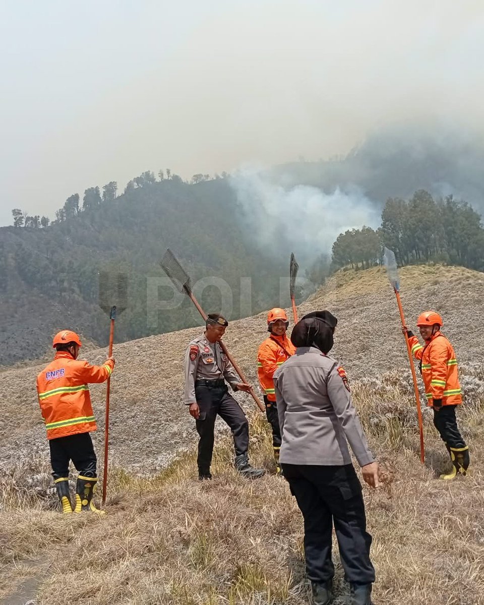 polresjogja's tweet photo. Polri mengerahkan personel gabungan untuk membantu memadamkan kebakaran hutan dan lahan (karhutla) di kawasan Gunung Bromo, Taman Nasional Bromo Tengger Semeru (TNBTS), Kabupaten Probolinggo, Jawa Timur.
#SiagaHadapiBencana 
Terus Berkomitmen Percepat Pemulihan Kondisi Indonesia https://t.co/tRSj3QwW3R