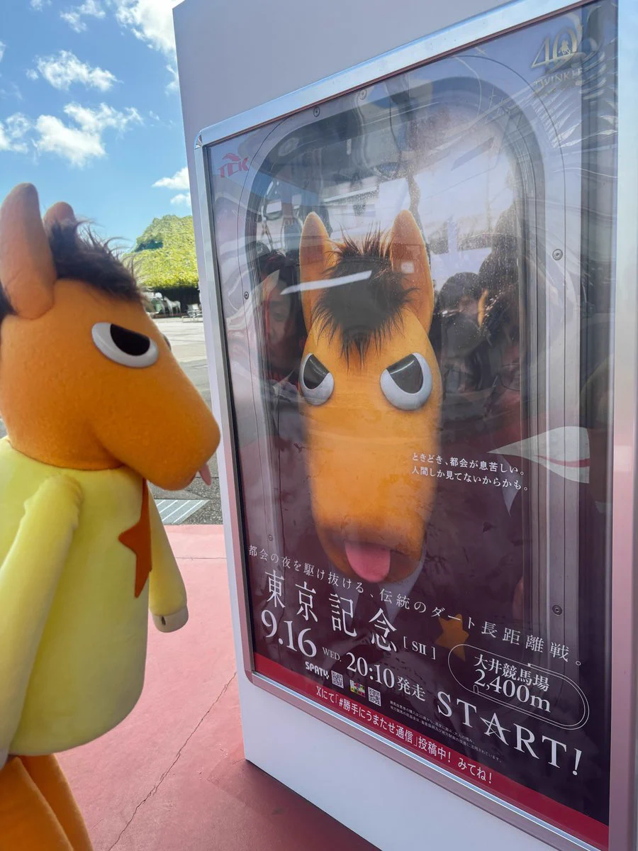 東京シティ競馬 (TCK) on X: 