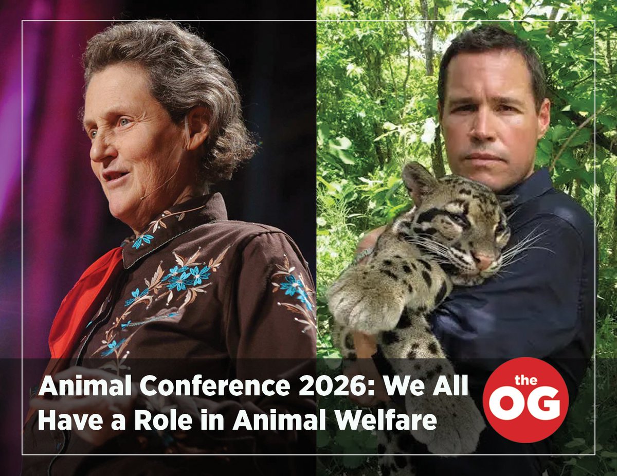 okgazette's tweet photo. Animal welfare is everyone’s business.

ANIMAL Conference 2026 brings together leaders in veterinary care, conservation, agriculture and advocacy Sept. 18–19 at @OKContemporary  Oklahoma Contemporary. Presented by the Kirkpatrick Foundation @kirkpatrickfdn, keynote speakers are Jeff Corwin and Dr. Temple Grandin.

Read more at https://t.co/bzOdysjxBQ