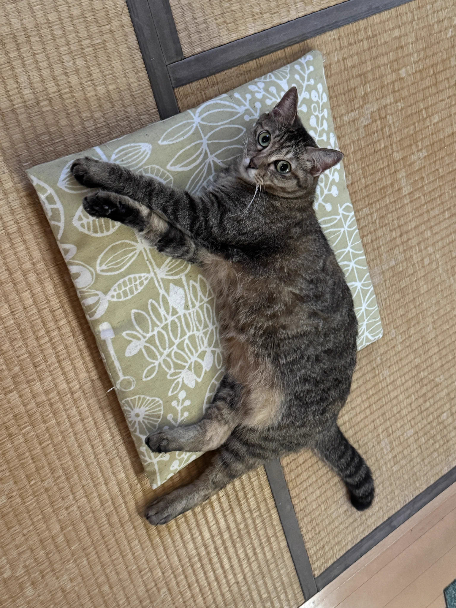 いず on X: 