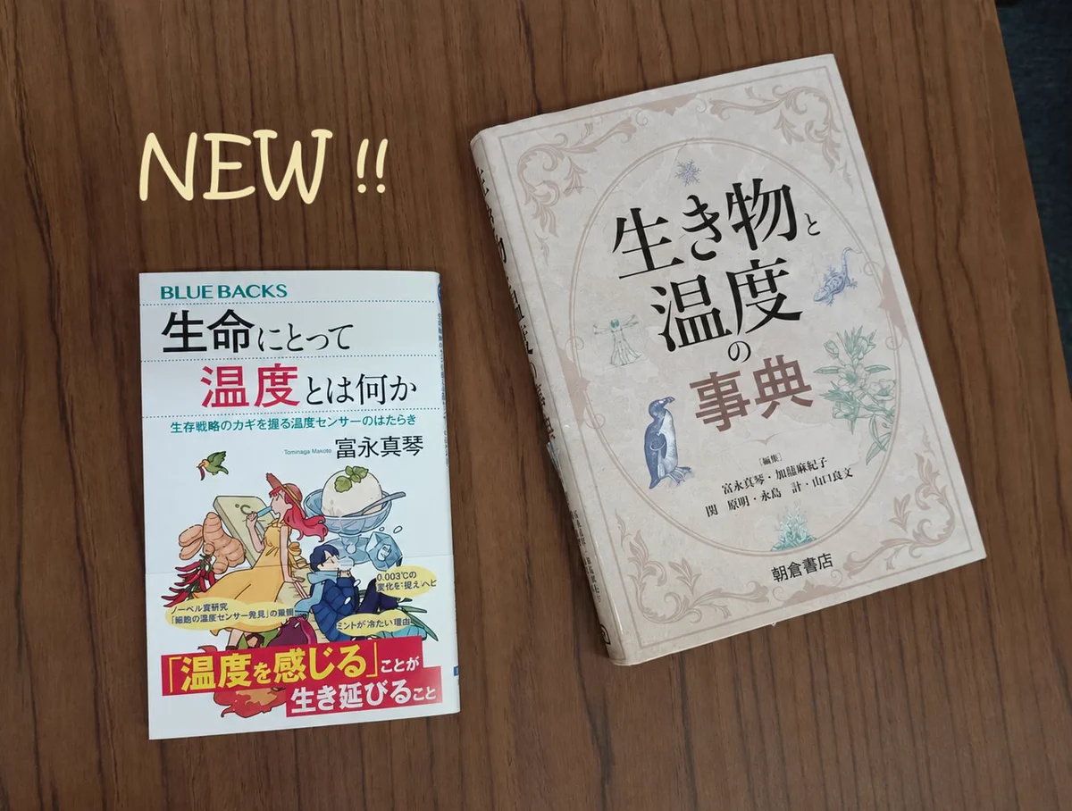 朝倉書店 on X: 