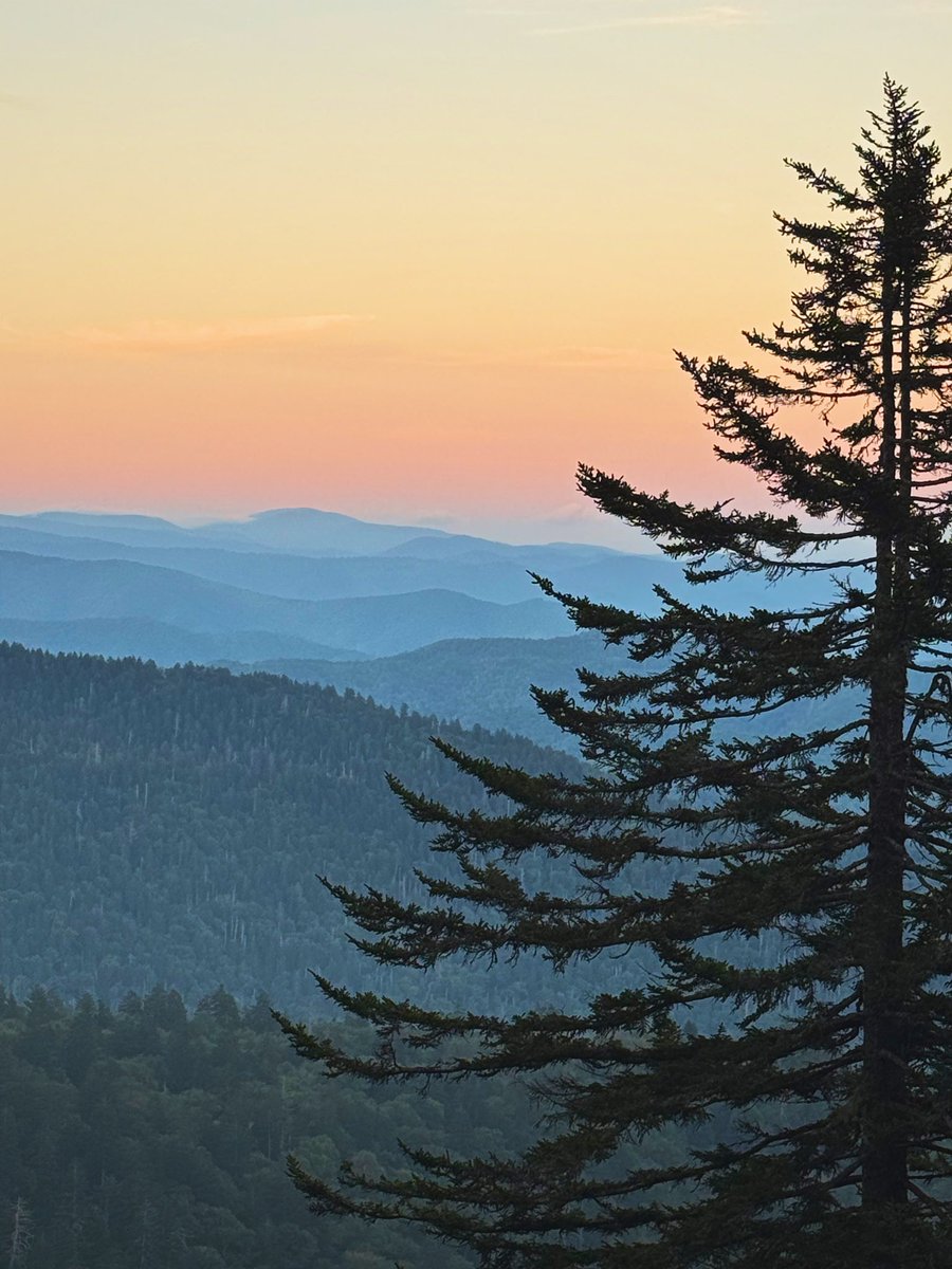 smowens15's tweet photo. Sometimes you get your heart smashed and then a week later end up in Great Smoky Mountain National Park. And everything is okay. And it’s going to keep being okay. Just plow through the plot twists and it’s going to be okay 🤍 https://t.co/z5iyeQ6viE
