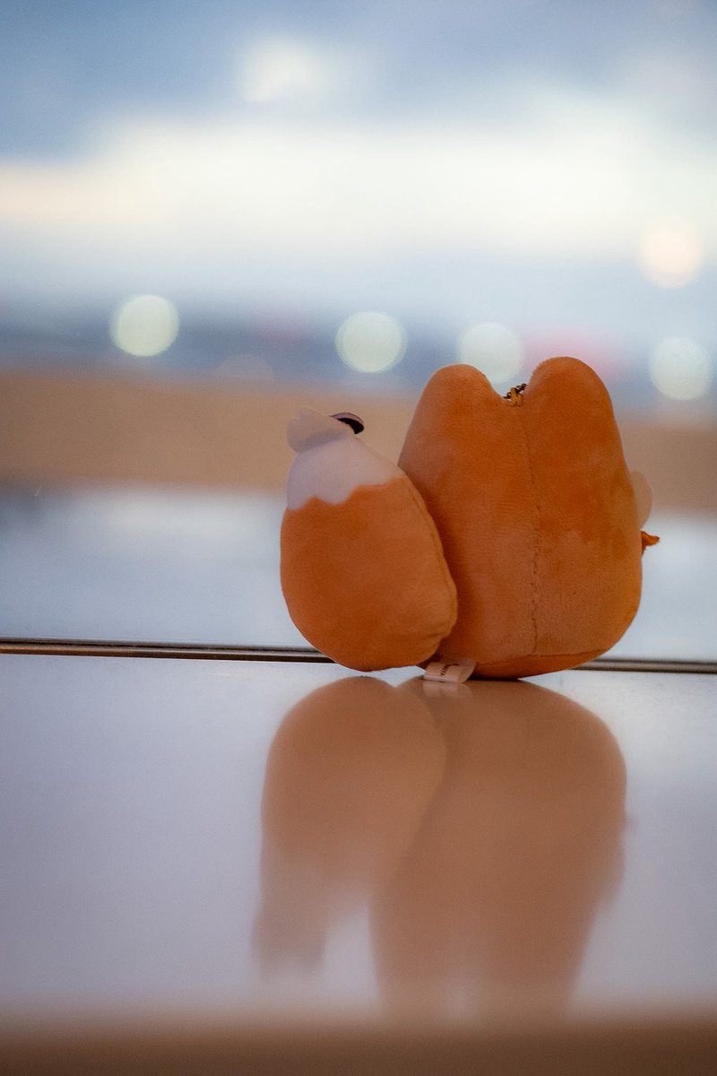 bell_fig's tweet photo. ユクモも連れて✈️
#アルカナディア https://t.co/E6JqImete1