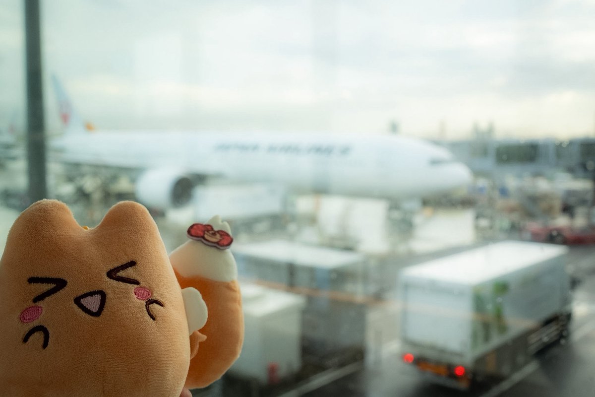 bell_fig's tweet photo. ユクモも連れて✈️
#アルカナディア https://t.co/E6JqImete1