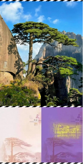 Consular_CHN tweet picture