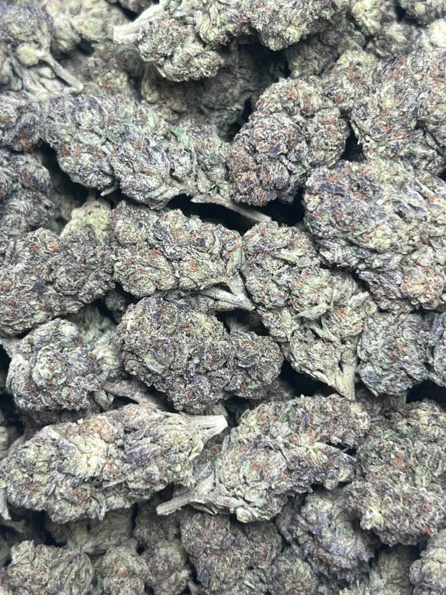 pack__pro's tweet photo. Da 1 Licensed Mixed Light https://t.co/aBt6Ri2KIw