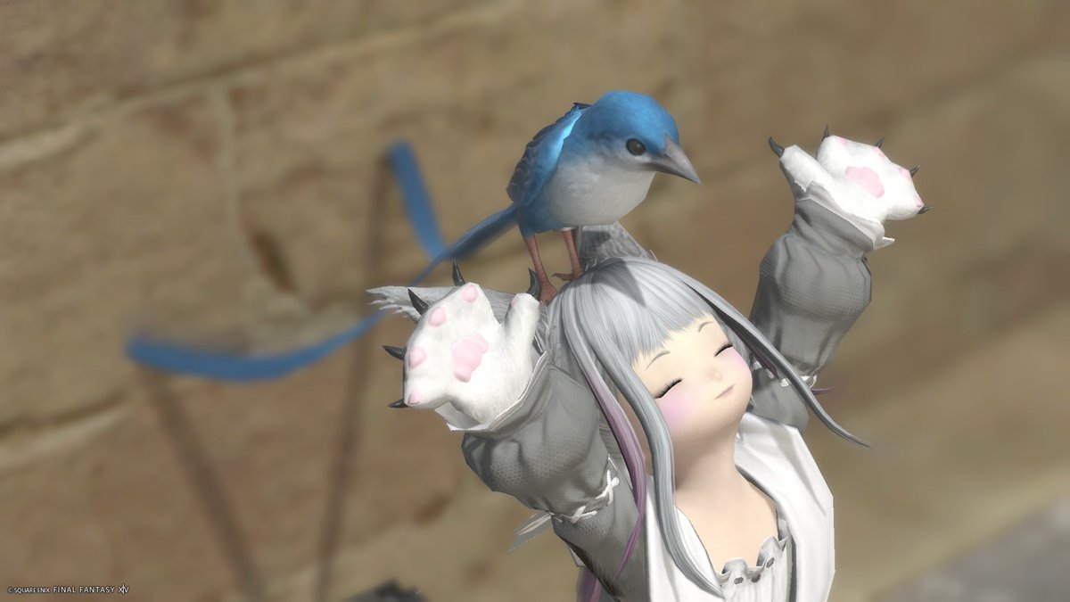 Peneff14's tweet photo. #おはララ
いつか手に入れたいなぁと思っていたスターバードをゲット致しましたん☺️kawaii〜！飛行型ミニオンだいすき。
#ララフェル #ff14 #FF14SS https://t.co/5fwrFEGJmj