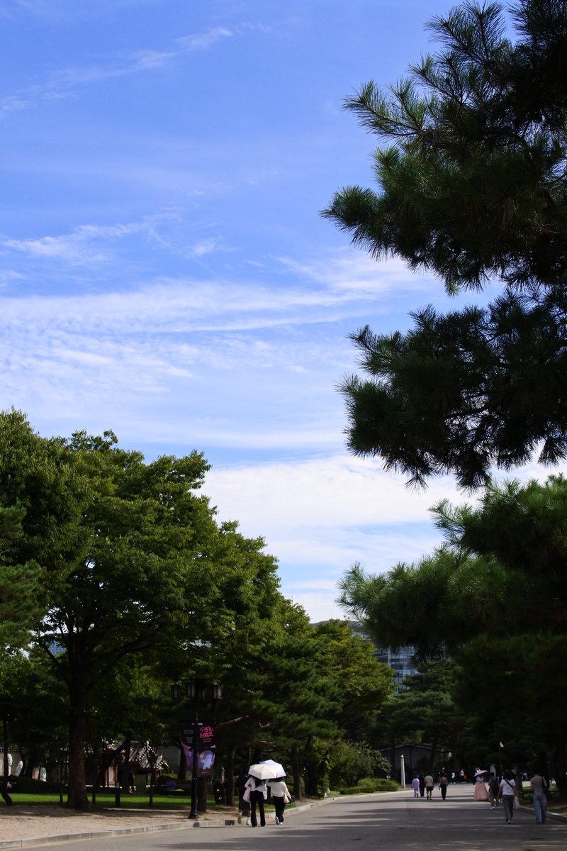 m_______075's tweet photo. #日常垢 https://t.co/ppgAhCaHOv