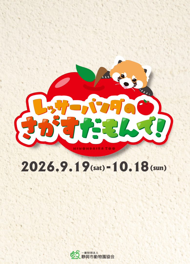 nhdzoo_szga's tweet photo. 【イベント】
『レッサーパンダのリンゴさがすだもんで！』開催
■期間
　令和8年9月19日(土)～10月18日(日)
■価格
　1回300円
■内容
　缶バッジ1個＋解答用紙1枚
■特典
　ステッカー1枚
■詳細はコチラ↓
　https://t.co/cl0UdxvAI5

#日本平動物園
#レッサーパンダ
#国際レッサーパンダデー https://t.co/aBpquTrUqQ