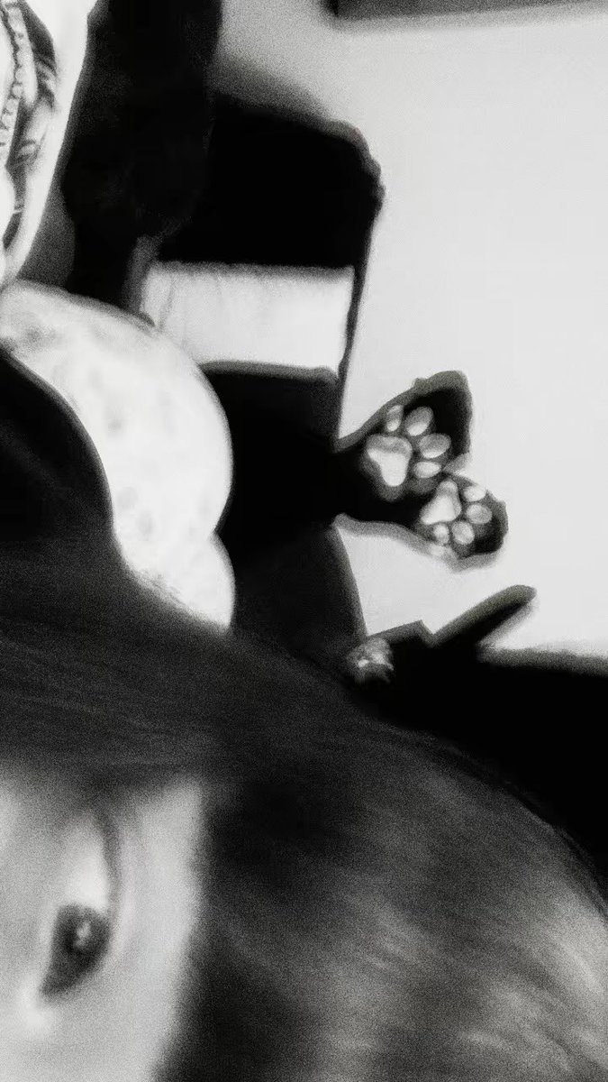 paws_ella's tweet photo. Meow :3 #catgirl #nsfw #egirl #nsfwtwt #bmf https://t.co/r1v7UKkmZf