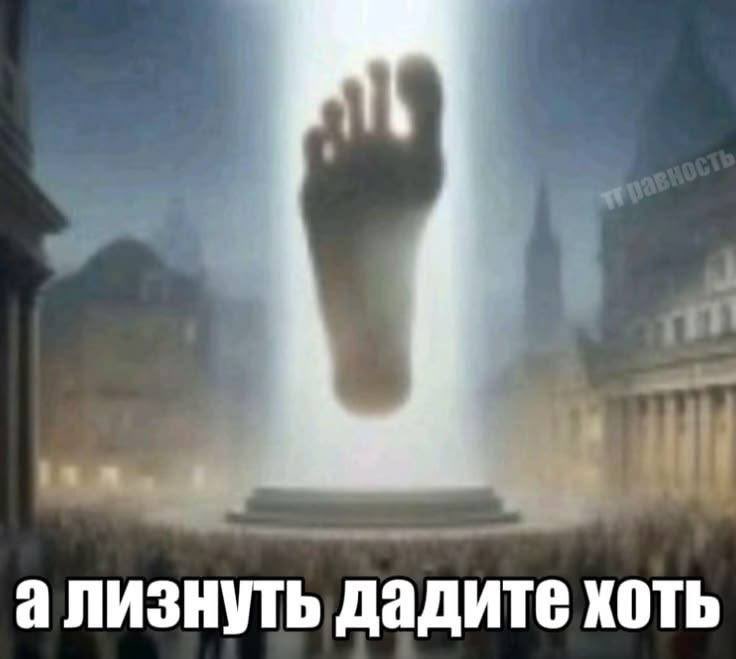 poltimki's tweet photo. https://t.co/r6QefE7hSl