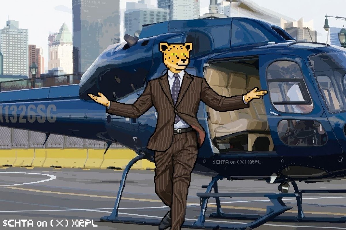 Coded_Cheetahs's tweet photo. Whose ready for tomorrow? 

$CHTA on the XRPL https://t.co/vvOsRaj45E