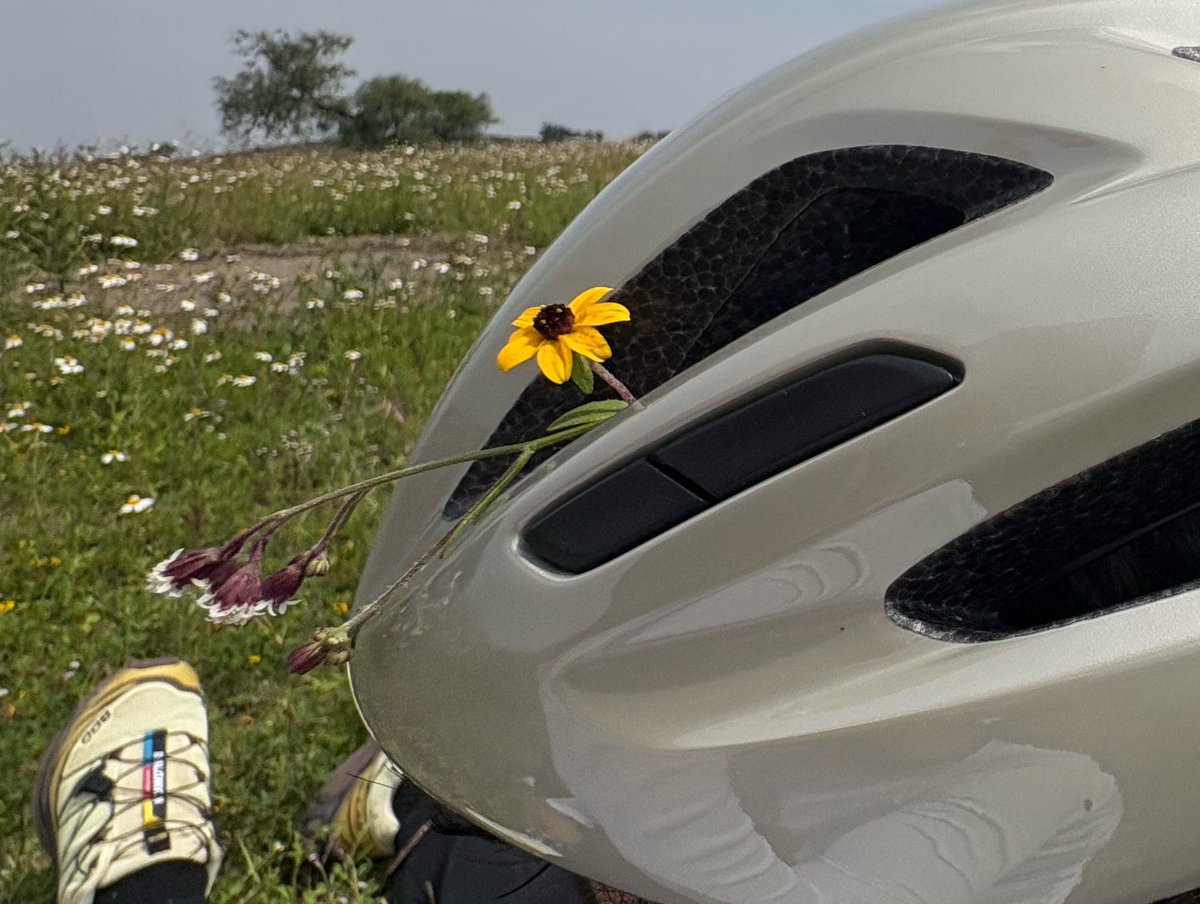 dkimbless's tweet photo. amor flores bicis https://t.co/2JKUKll5Td