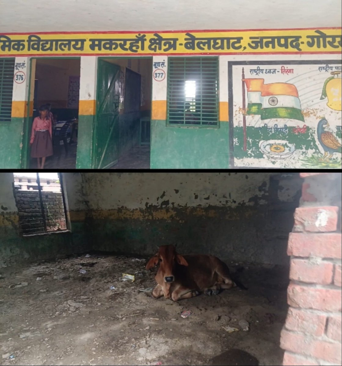 AnupKum35406191's tweet photo. गोरखपुर के बेलघाट ब्लॉक के ग्राम मकरहां प्राथमिक विद्यालय में बाउंड्रीवाल व मुख्य गेट नहीं होने से परिसर में गोवंश पहुंच रहेहैं। भूमि चिह्नांकन न होने से बाउंड्रीवाल निर्माण रुका है।कृपया स्थलीय निरीक्षण कराकर शीघ्र समाधान कराएं@myogiadityanath @basicshiksha_up @Bsa3779 @upgovt9 https://t.co/FA8os9rq9K