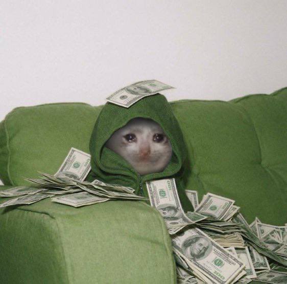 stevxbt's tweet photo. cash-cat:native https://t.co/lYYPlKZss0