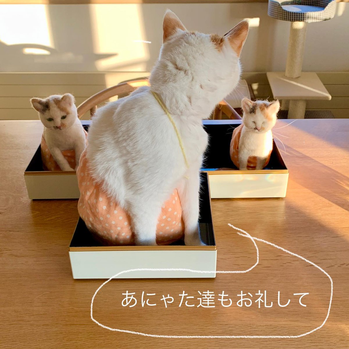 DenisFrueh's tweet photo. 境界線が曖昧になる瞬間がある。自分が自分でなくなる感覚。正直、それくらいで丁度いい。 https://t.co/BlqqfHKr0u