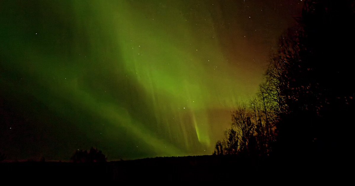 TeaMaria48's tweet photo. #nature #lapland #autum #valokuvaus #honor200prophotography #visitlapland #finland #sky #auroraborealis #northenlights https://t.co/y9Wpl9qpzJ