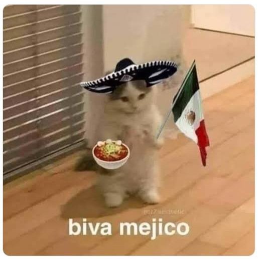 Uzu_Me_'s tweet photo. ¿Ya están listos para mañana? https://t.co/yMVpct9Efm