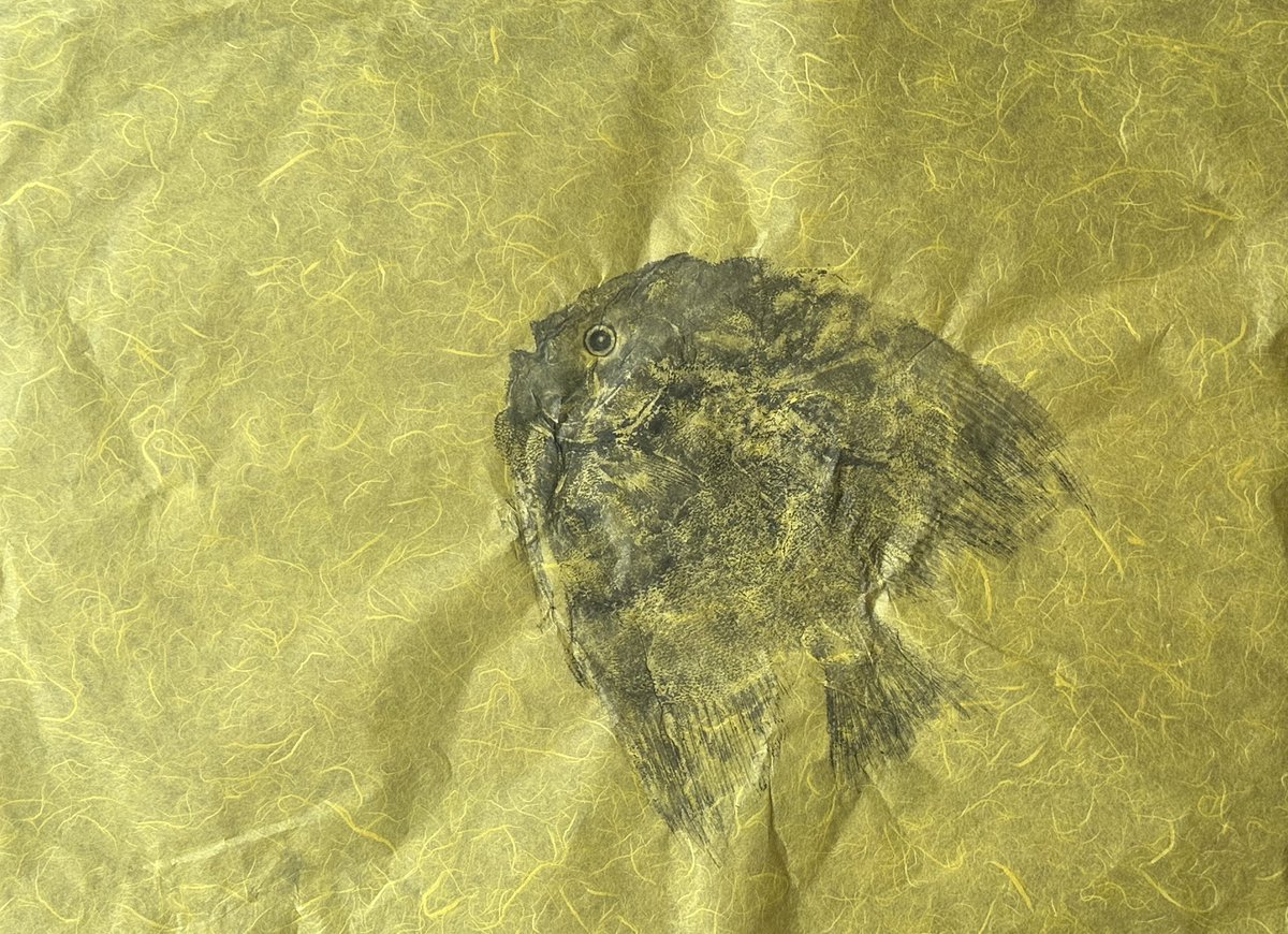 write_me107's tweet photo. I'm back (with a new hobby(??))🙏
🐟Longfin Travally & Batfish
📍From Saphli Market, Chumphon
🎨Squid ink on Thai washi paper
#Gyotaku #printmaking https://t.co/kQYEb8Sk2P