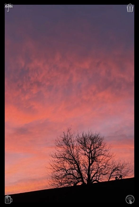 ricca_sn's tweet photo. 📑Raspberry Pancakes The raspberries are finely shredded. I purchase a sourdough loaf and a cinnamon bun to carry along, expressing my gratitude to the baker before heading out. By now the sun has climbed higher, casting warmth on my skin as I stroll back to my vehicle, experien https://t.co/hH0d73KkQS