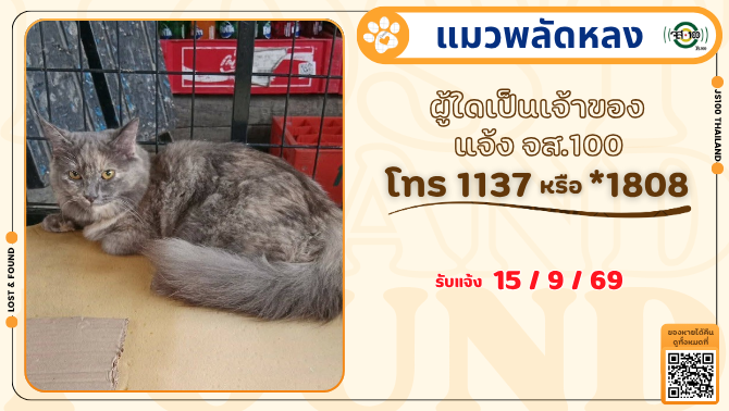 js100radio's tweet photo. พบแมวพลัดหลงภายในซอยพหลโยธิน 34 แยก 11-6 เขตจตุจักร ผู้ใดเป็นเจ้าของแจ้ง JS100 โทร *1808 หรือ 1137

รายละเอียดเพิ่มเติม : https://t.co/qHZ2gwUdW0

#แมวพลัดหลง #ตามหาเจ้าของ #JS100 https://t.co/4xlp7R1yX6