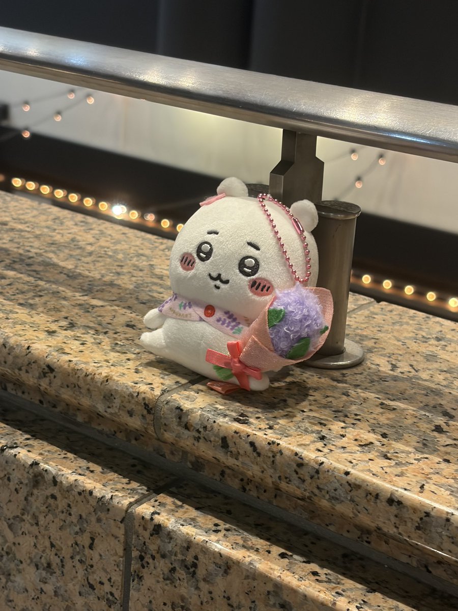 pochaaaaan_6's tweet photo. 昨日、梅田に野生のちいかわがいた
しかも、めちゃくちゃ可愛い https://t.co/MlpQI9Aq2x