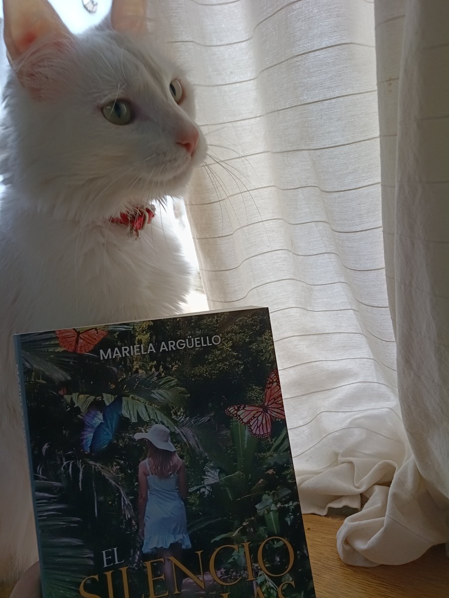 gabrielasimeone's tweet photo. @sahury Yuki, 2 años, completamente sordo. Un atorrante! Al patio sólo atado x su seguridad. Resto vida normal 🥰 https://t.co/pOq4A97tly
