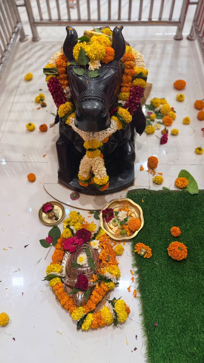 bageshwardham's tweet photo. श्री बागेश्वर बाला जी सरकार के दिव्य दर्शन…
श्री ब���गेश्वर बालाजी सनातन मठ मुंबई (महाराष्ट्र)
15-09-2026 (मंगलवार)
#bageshwardhamsarkar
#mumbai
#divyadarshan
#maharashtra
#balaji https://t.co/WC09OlXzSJ