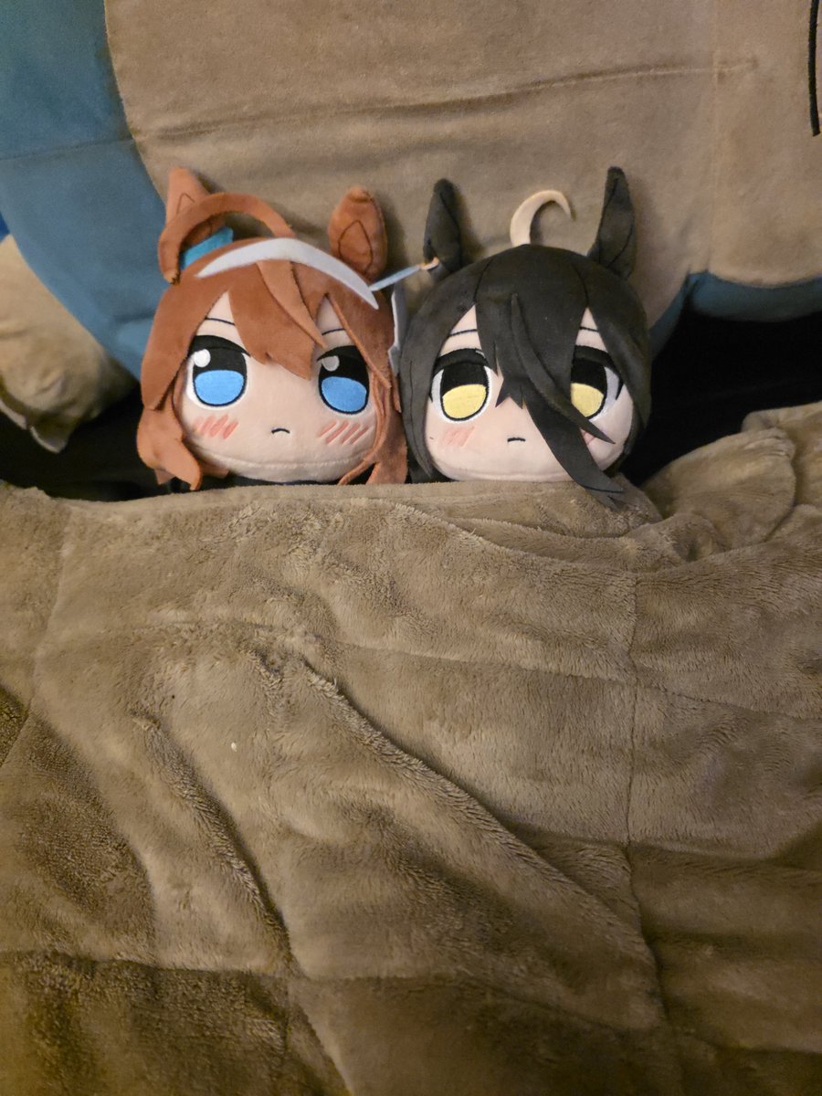 lilGennyx3's tweet photo. My mom tidied up my room while I was at work and LOOK AT WHAT SHE DID TO THEM https://t.co/LbN1i7kuN8