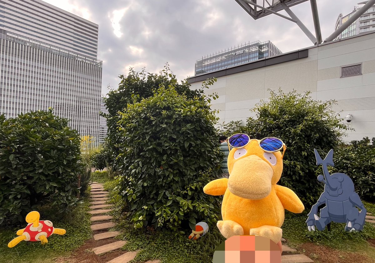 mattarinuito's tweet photo. いろんなところですやすや寝てるね！
プリンちゃんかわいいね

#ポケモンfit #ぬい撮り #ぬい活 #ポケモンのいる生活 https://t.co/jqxsqFshRl
