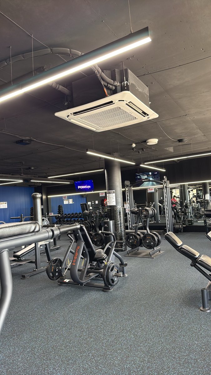 bigname808's tweet photo. Used to find comfort in her thighs 😩

Now this is my only safe place 

Gym > everything. 😈

#GymIsMySafeSpace #gym #lifestyle https://t.co/VZh2FzGwvE