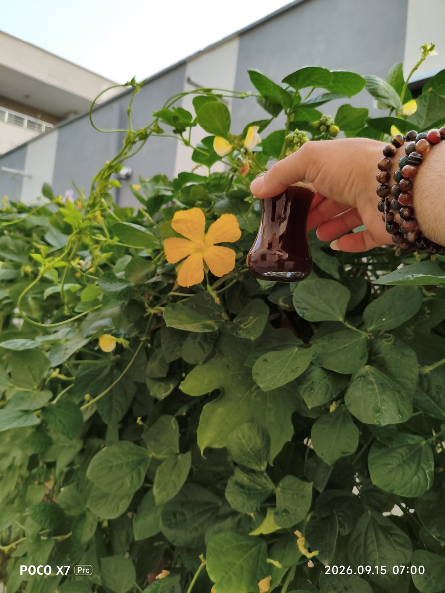 mursidsezen's tweet photo. Günaydınlar 🌞☕ iyiler  erkencilerr salı zabahından kötüleri sallayan bir gün olur inşallah  çok AMİN 🤲🏼🙏🏼🙋🏼‍♂️🌹🌿💐
#Salı
#XAilemss
#Terzi🪡🧵
#Tailor🪡🧵
#Mersin🌴🌴
#Çamlıbel🌴🌴 https://t.co/4C3D8lrREr