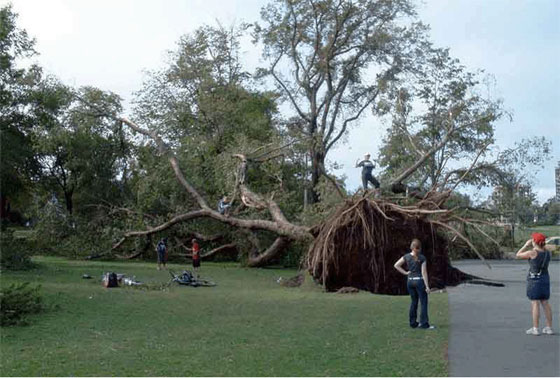 weather_history's tweet photo. September 28, 2003:

Hurricane Juan made landfall in Nova Scotia as a Category 2. The storm was the worst tropical cyclone to impact Atlantic Canada in over a century. Juan knocked out power to 300,00 residents, caused $200 million in damage, and killed eight people.

#wxhistory https://t.co/ZrbmnuHi2b