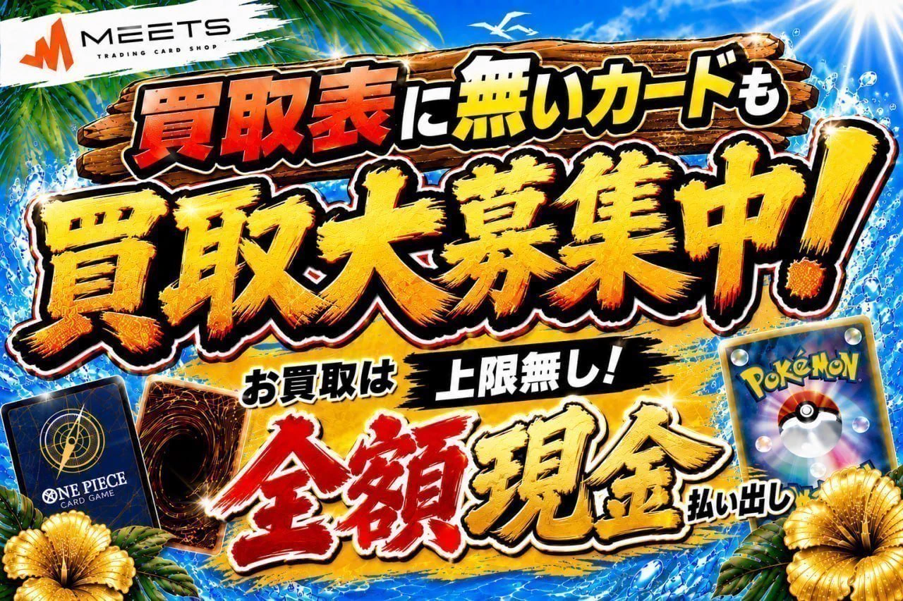 MEETS 大阪日本橋本店 على X: 