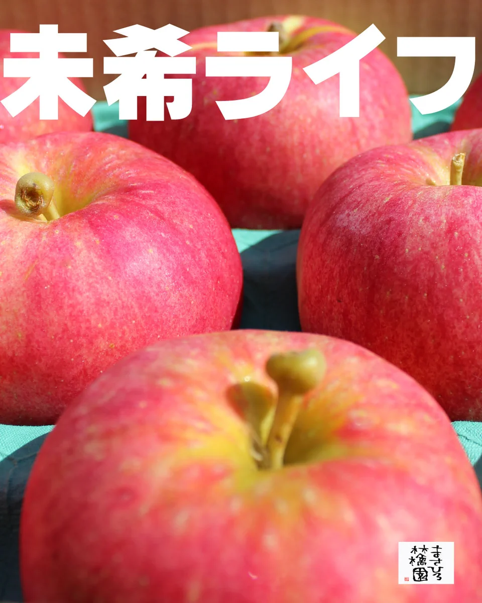 🍎スタッフU@まさひろ林檎園🍏毎月りんごが届く「まさひろ林檎園の