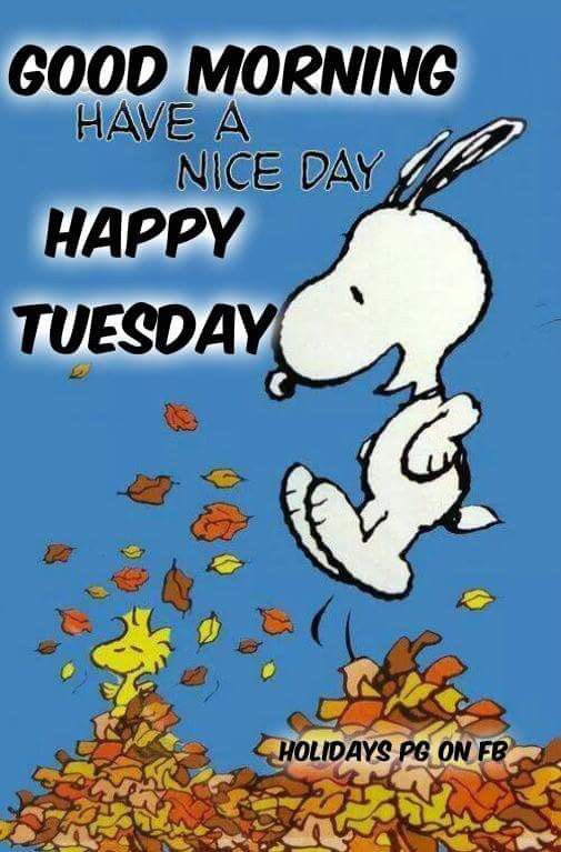 snoopyandfrien6's tweet photo. GOOD MORNING 
HAVE A NICE DAY
HAPPY TUESDAY https://t.co/4gywWYU7C5