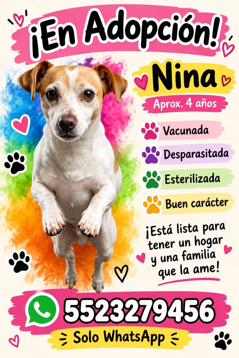 moontserrat95's tweet photo. Nina fue abandonada por su”familia” en el departamento que rentaban , cuando llegaron 10 días después la dueña se dio cuenta y la echó a la calle, una señora  la rescató al ver todo esto y está dándola en adopción , lleva 2 años esperando un hogar , me puedes ayudar con un RT? La llevamos al fin del mundo por favor