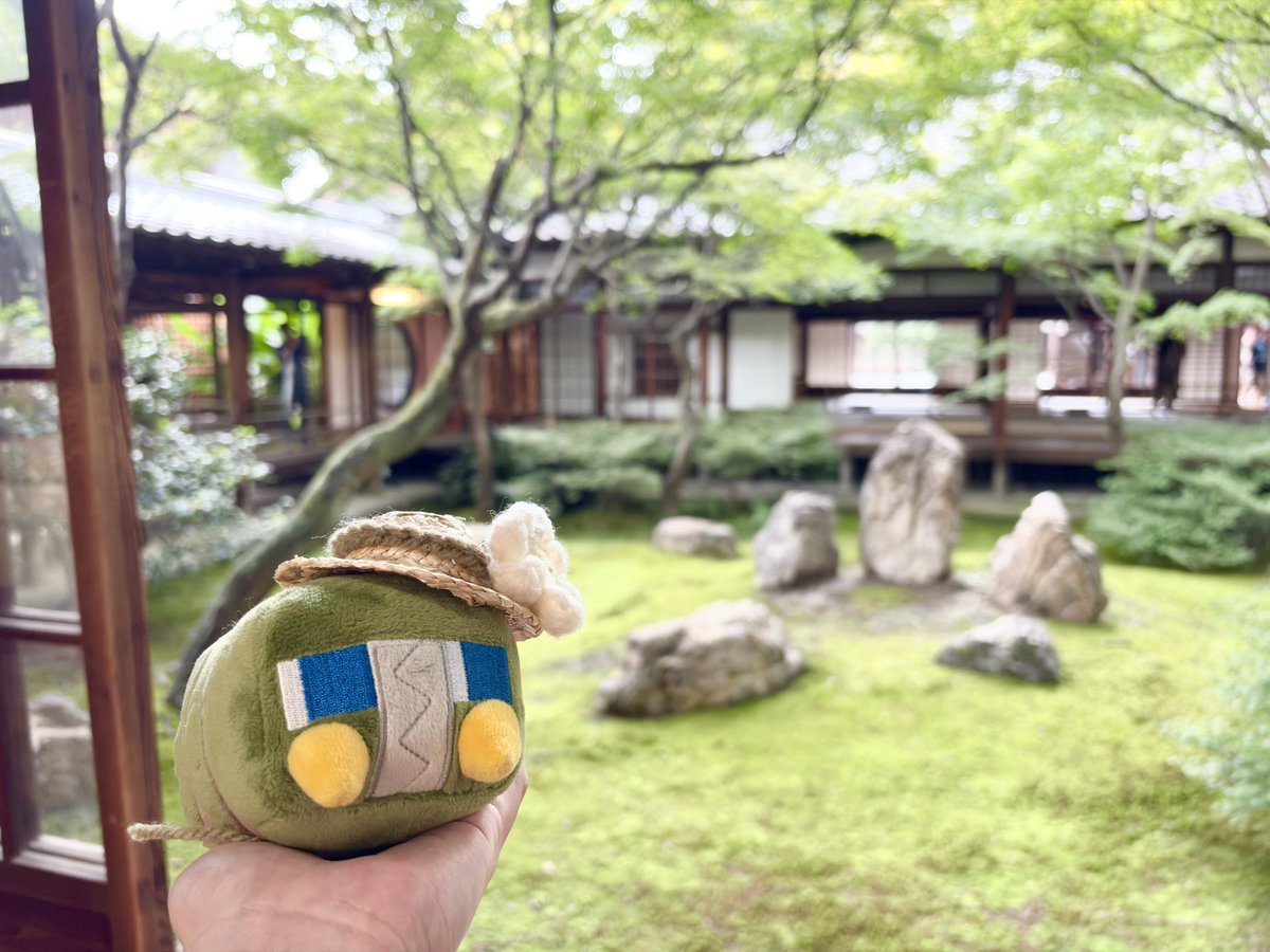 fuu_pn's tweet photo. #ポケモンfit https://t.co/tQqzKe2zZV