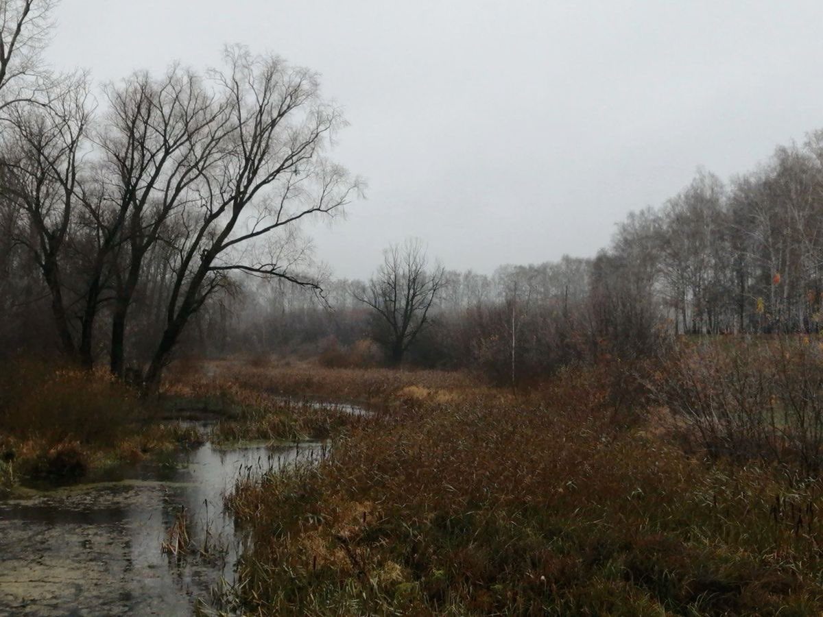 waynnef_'s tweet photo. коллаж в падлу не обессудьте 
фемваля осень грусть приозерск холодно
#мишвали ау — @SWORDAWG https://t.co/b3zKpk4Nc4