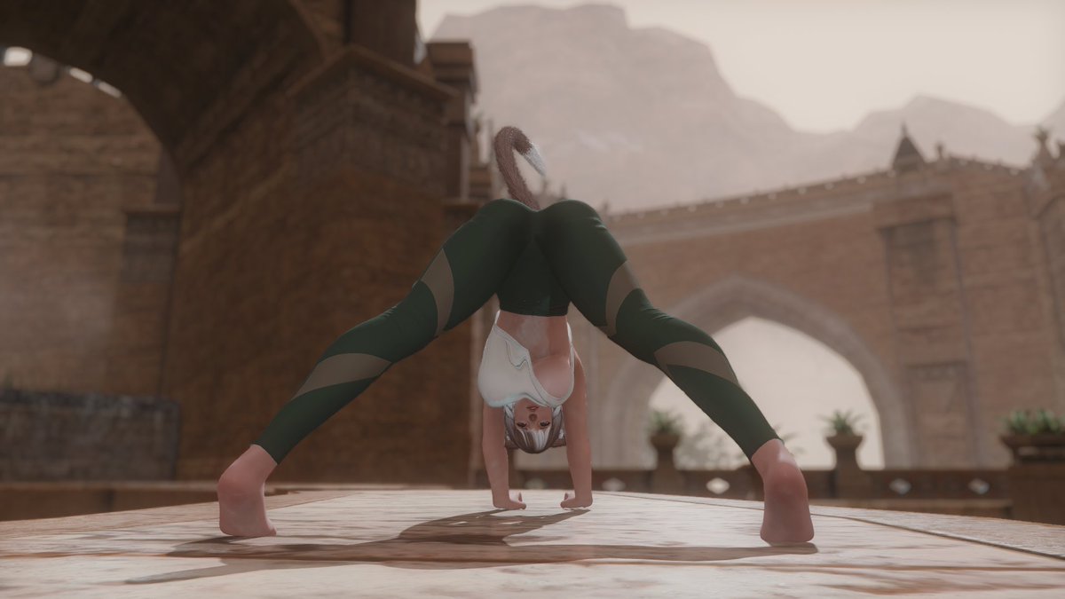 _ChiaChai_'s tweet photo. Foggy morning stretches. https://t.co/ltwTrg5OeA