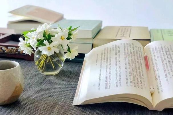 LiviaCapshmdp's tweet photo. Slow Sunday vibes: curled up with a warm latte and a good book, no plans just cozy. https://t.co/VaYk9k4deg