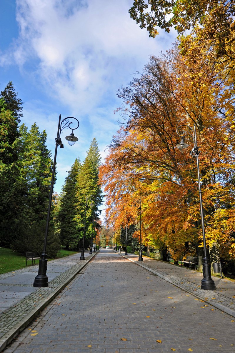 UZdroj's tweet photo. 🍂 Zaplanuj jesień w Uzdrowisku Świeradów-Zdrój!
Jeszcze piękne, ciepłe dni ☀️ — idealny czas, by zwolnić, zregenerować się i zadbać o siebie. 💚
✨ Do 15% rabatu na pokoje Standard
📅 Ostatnie miejsca na październik!
Szczegóły i rezerwacja 👇
#UzdrowiskoŚwieradów #Świeradów https://t.co/VRosRfUQm6