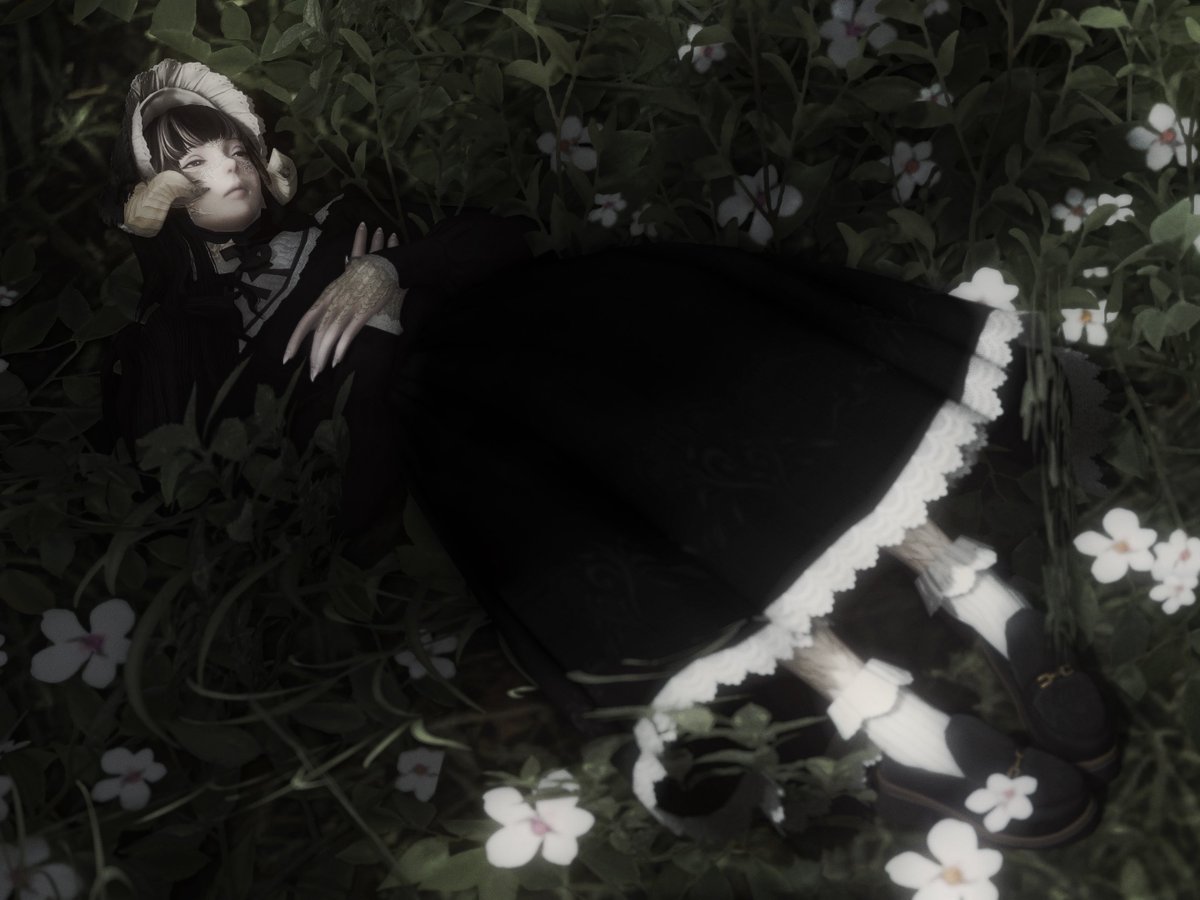 vehlia_xiv's tweet photo. rest among flowers https://t.co/BNrIf5bSQ0