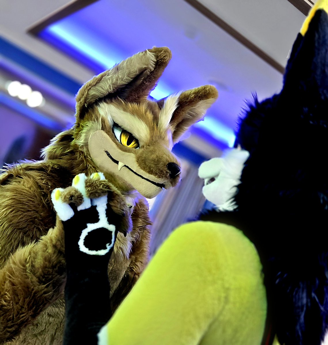 NightFury4S's tweet photo. @ten_bite @Fur_Volt 😆😆 https://t.co/SupzXSSCz2