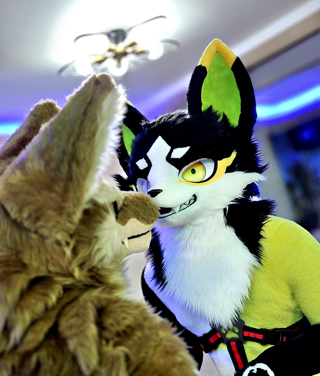 NightFury4S's tweet photo. @ten_bite @Fur_Volt 😆😆 https://t.co/SupzXSSCz2